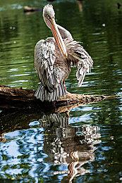 《漫威蜘蛛侠2》上架PlayStation商店 已可加入愿望单